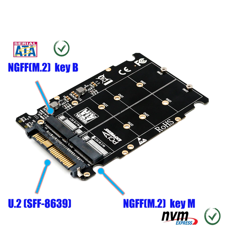 M.2 SSD untuk U.2 Adaptor 2in1 M.2 NVME dan SATA Bus NGFF SSD untuk Pci E  U.2 SFF 8639 Adaptor PC Yaitu m2 Converter untuk Komputer Desktop|Add On  Cards| - AliExpress