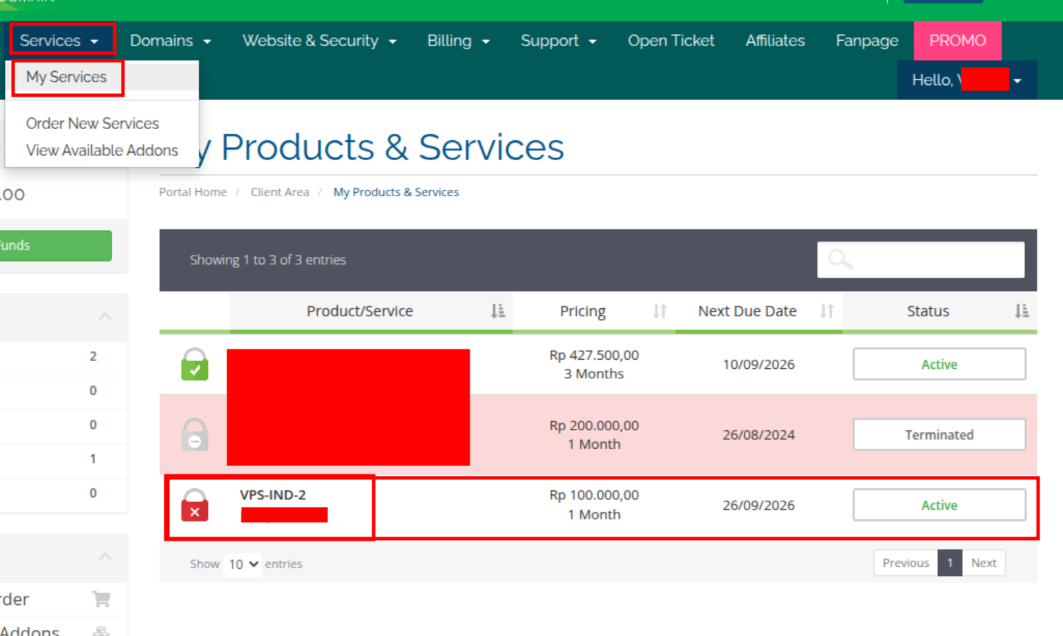 my service VPS