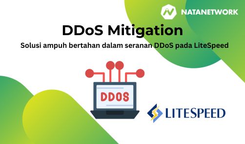 DDoS Mitigation LiteSpeed